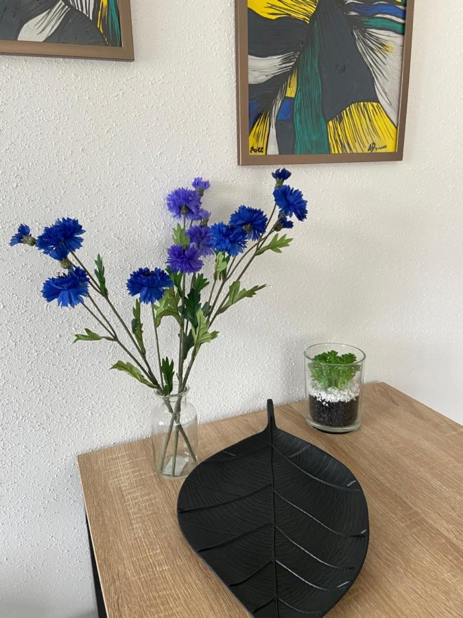 Horbourg Chez Orely 아파트 외부 사진